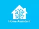 Home assistant